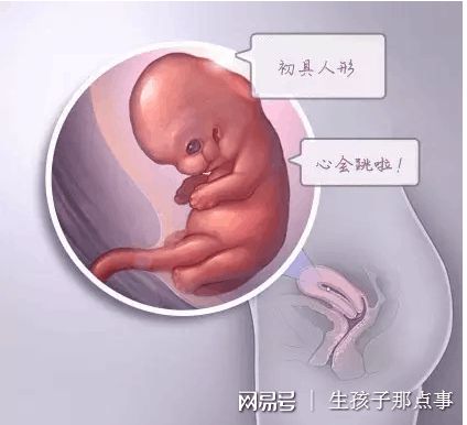 嘉和优生